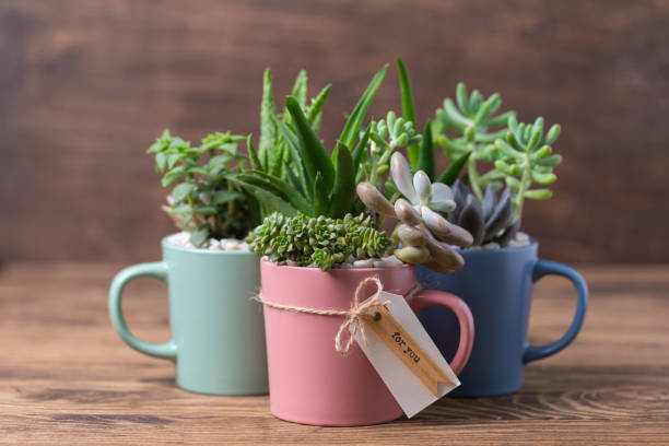 Gift Services